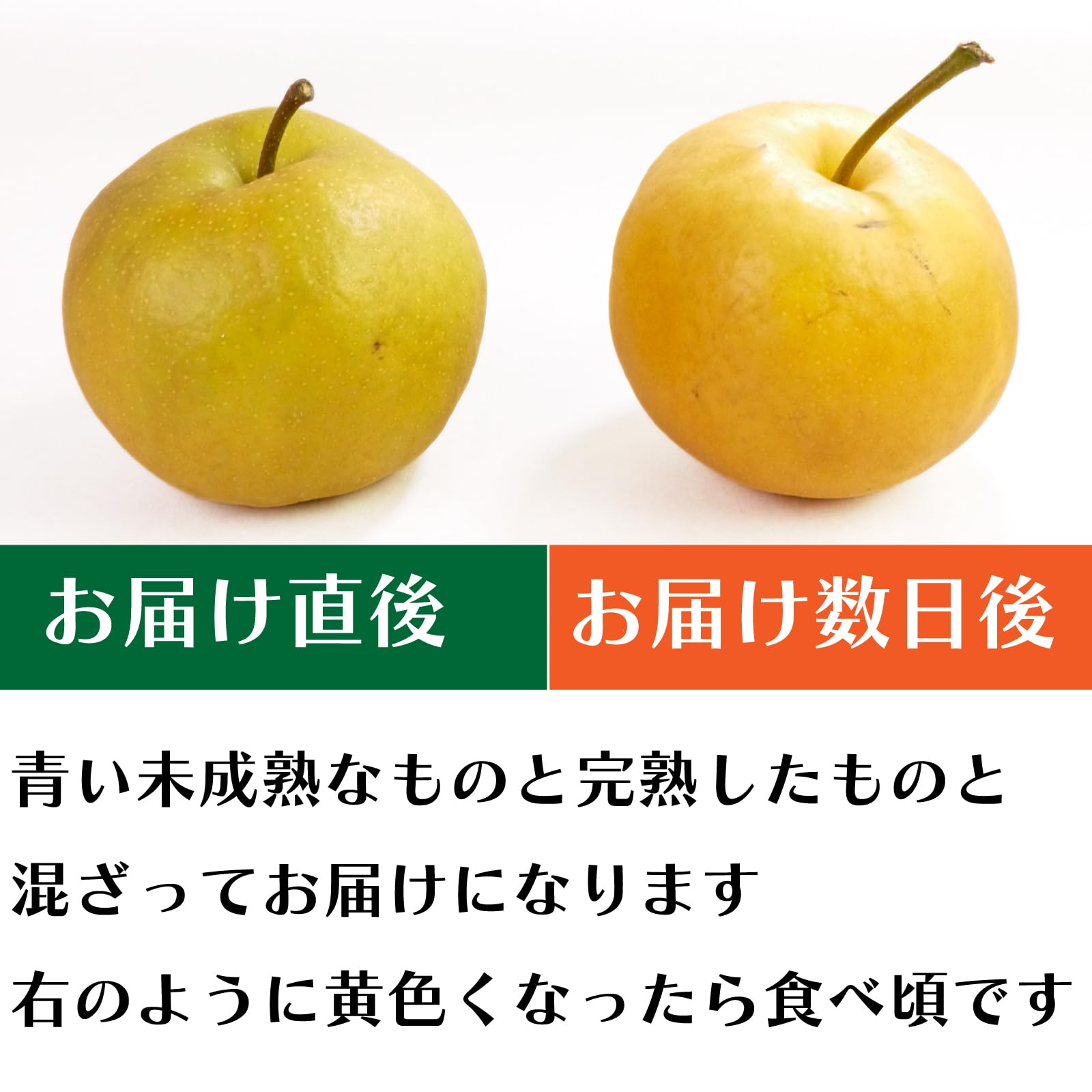 Amazon.co.jp: 長十郎梨 [家庭用/サイズ混合]青森県産 ちょうじゅう